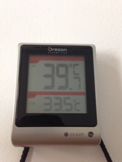 306 Temperatur 29.04